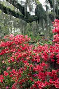 千山奔赴，一梦成灰番外