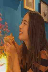 相思无泪，悲欢难寻全球完整文集