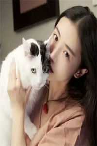 梦醒不见去年春全球完整文集