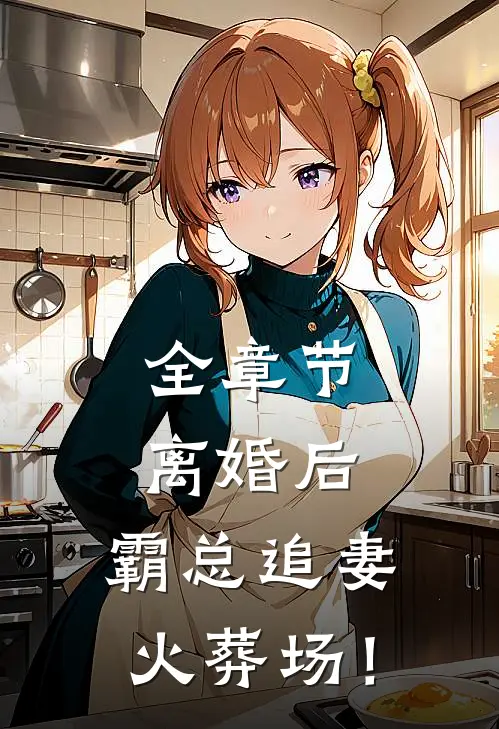 全章节离婚后，霸总追妻火葬场！