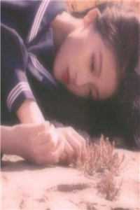 青山旧梦不重逢后续