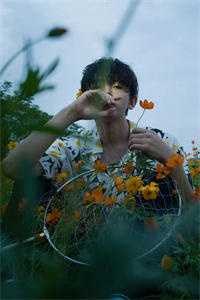 乱世红颜系统？美人们我来了赵十郎苏宛月全文