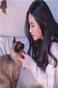 老婆为男学生自首悔婚后，她后悔疯了大结局