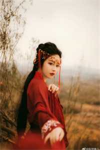 此后晚风皆是你江晚栀商扶砚无删减+无广告