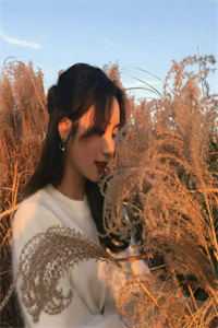 爱如潮水逝无声小说在线阅读免费