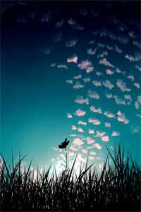 别凶！漂亮小哑巴他超娇气完整版