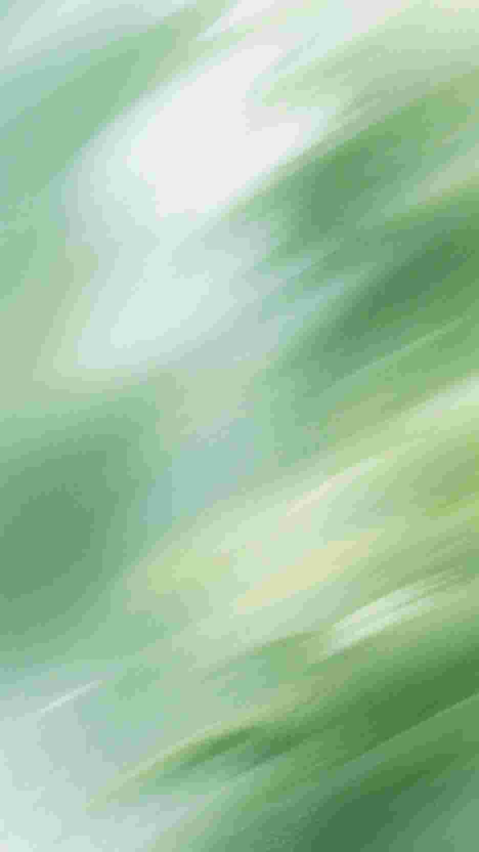 重返1988：从县城屯猪开始好书