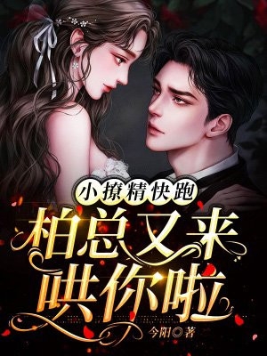 改嫁渣男死对头后，他才后悔求和林瓷司庭衍后续+完结