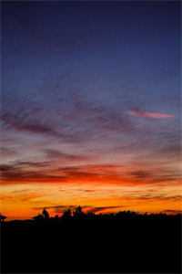 父王，开门！本郡主闯祸回来啦在线阅读全本阅读