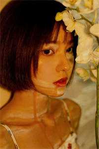 半盏花灯枕明月无删减+无广告