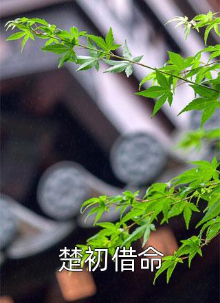 人间风月事，皆付温柔全文免费阅读