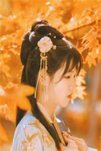 江河万里不如你一眼全集