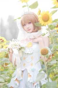 千帆过尽，此生非晚免费看