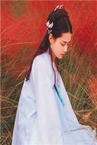 小院春秋：我的媳妇不太聪明推荐