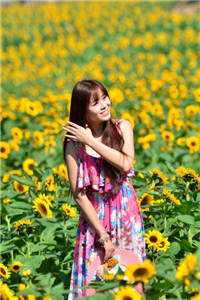 富婆推土机，我被太太们包围了全文+番外