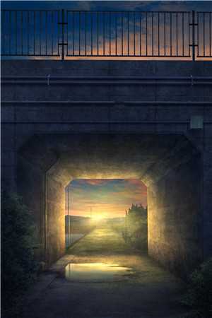 小院春秋：我的媳妇不太聪明后续+全文