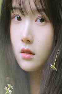 教书先生，朕的江山你说了算！的小说