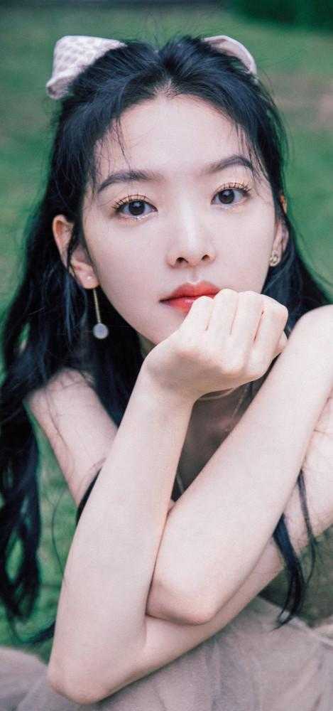 一枕星河皆是梦小说畅读
