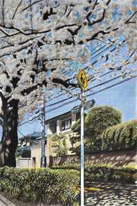 随星，随月，随清风必读文