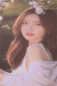 第九十九场日落结局+番外