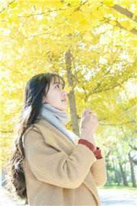 被弹幕剧透后，我娶了全书大反派目录