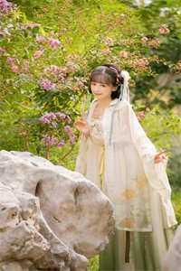 雁去无声，只剩新愁晚阅读