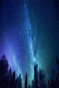 疯批太子恋爱脑，侍寝宫女没路跑前文+