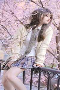 旧梦碎于三更雨章节