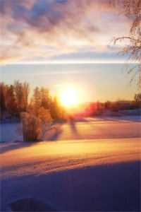 旧爱故里不相逢已完结版