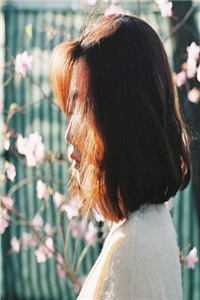 相念不负相见抖音热门