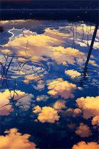 白捡个娃，还附送黏人世子爷大结局