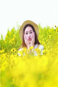 山与海遥遥望去全新